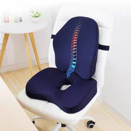 BACK PAIN