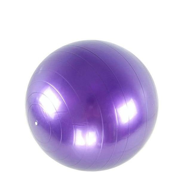 55cm Yoga Exercise Ball