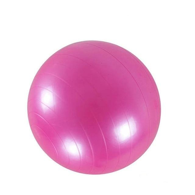 55cm Yoga Exercise Ball